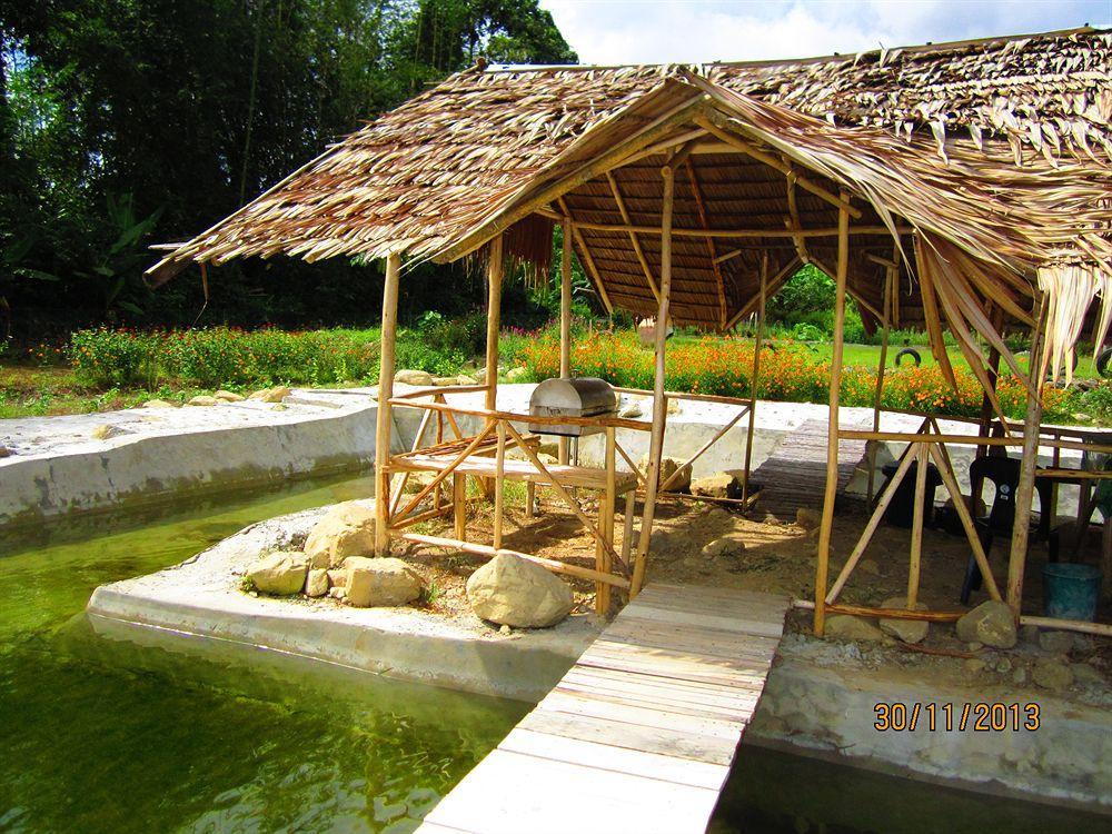 京那巴鲁波利度假小屋 Kampung Poring 外观 照片