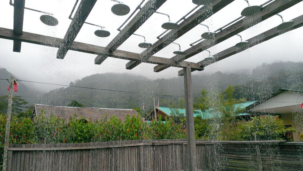 京那巴鲁波利度假小屋 Kampung Poring 外观 照片