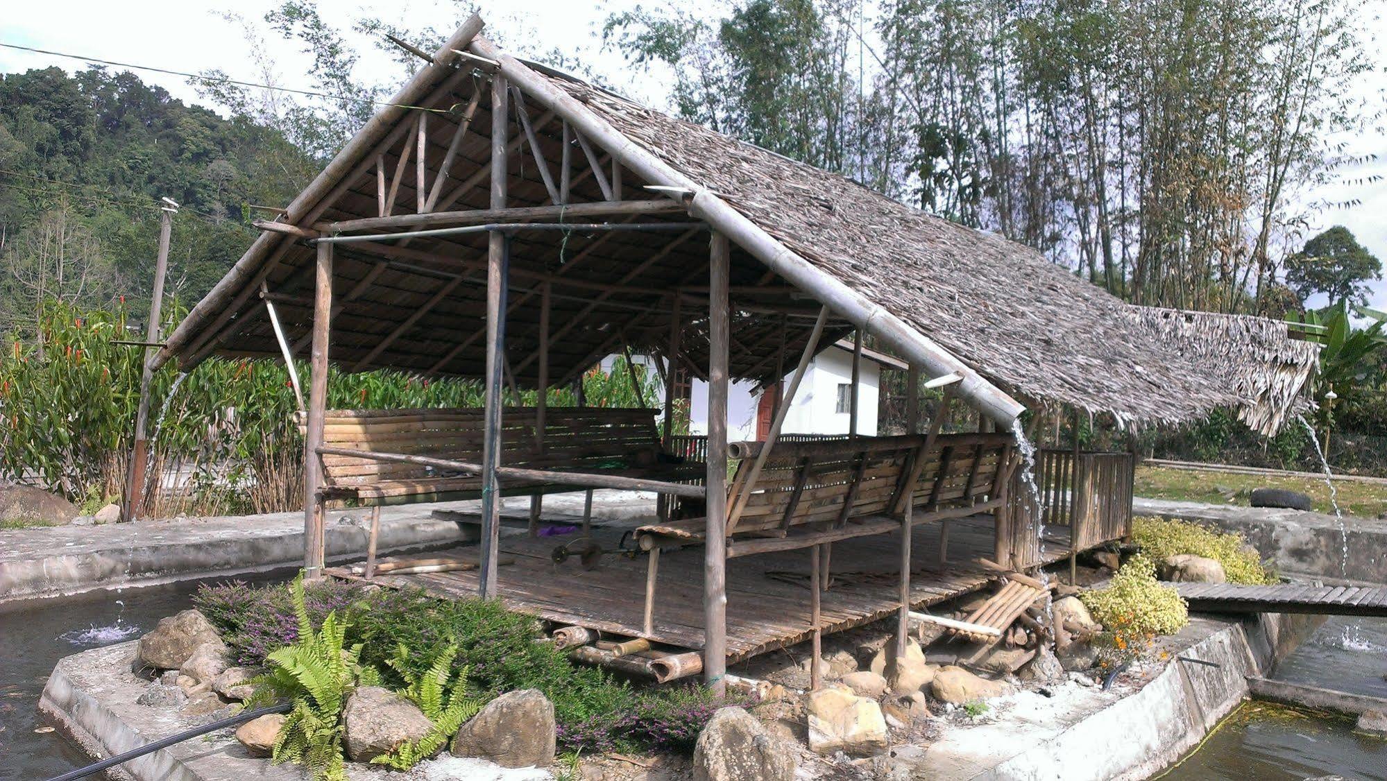 京那巴鲁波利度假小屋 Kampung Poring 外观 照片