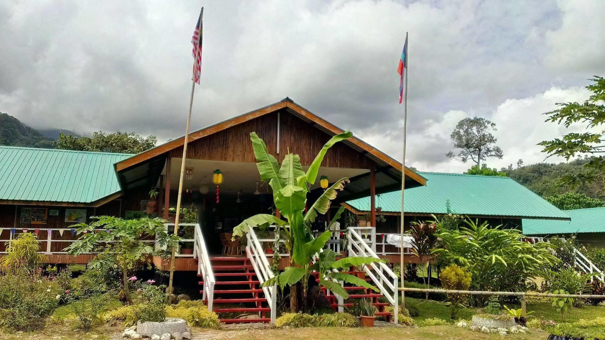 京那巴鲁波利度假小屋 Kampung Poring 外观 照片