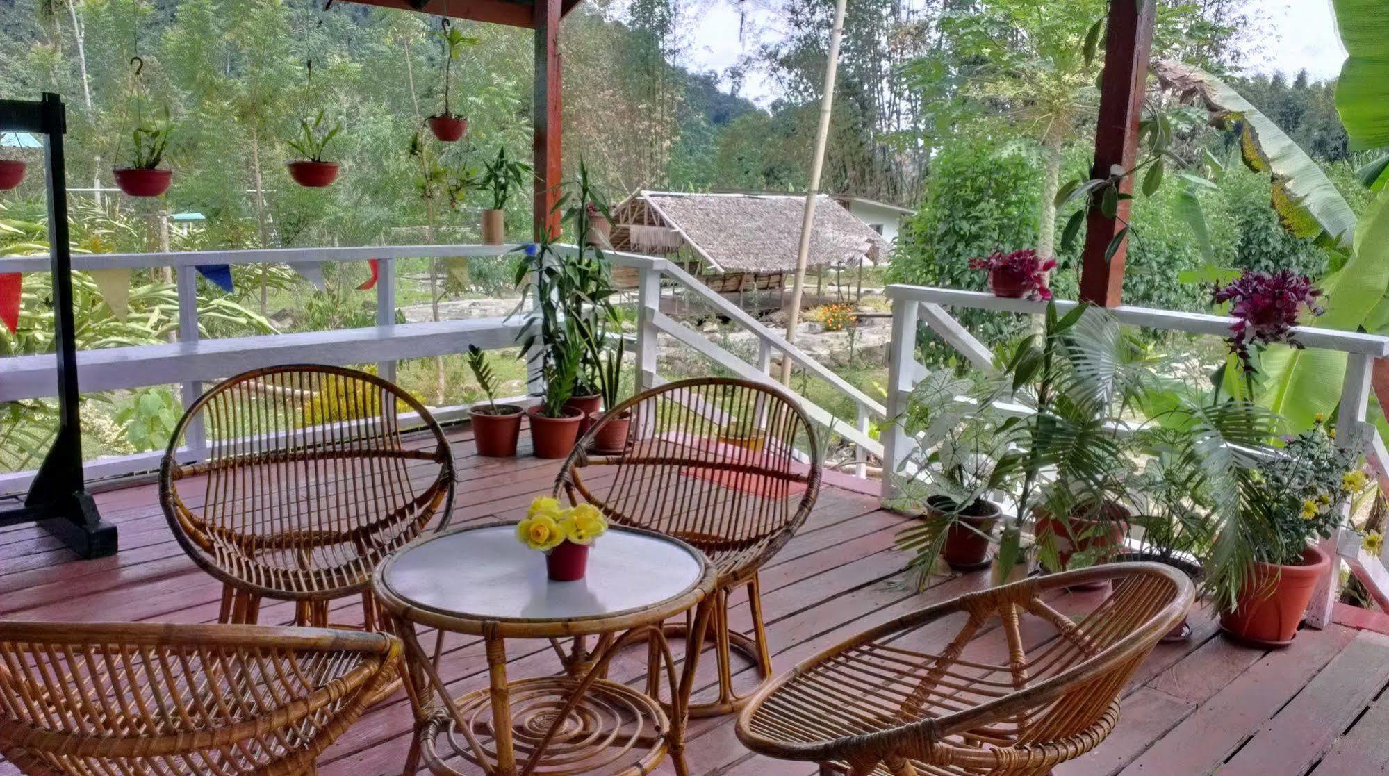 京那巴鲁波利度假小屋 Kampung Poring 外观 照片