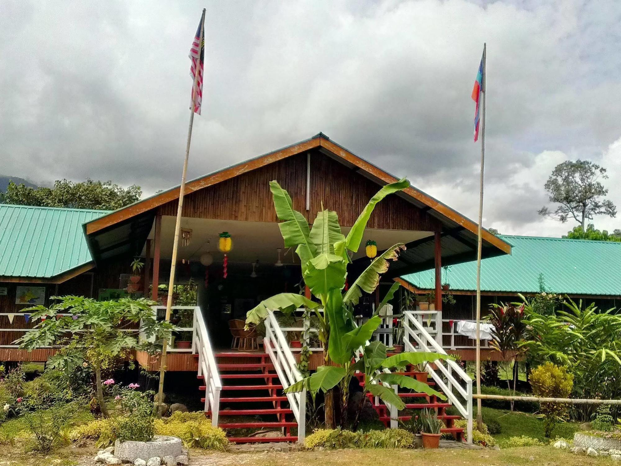京那巴鲁波利度假小屋 Kampung Poring 外观 照片